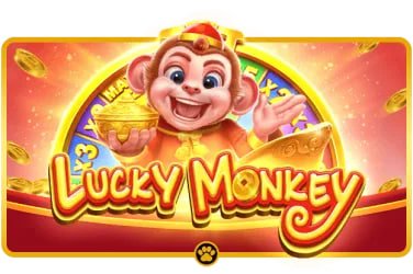955 bet 955 bet